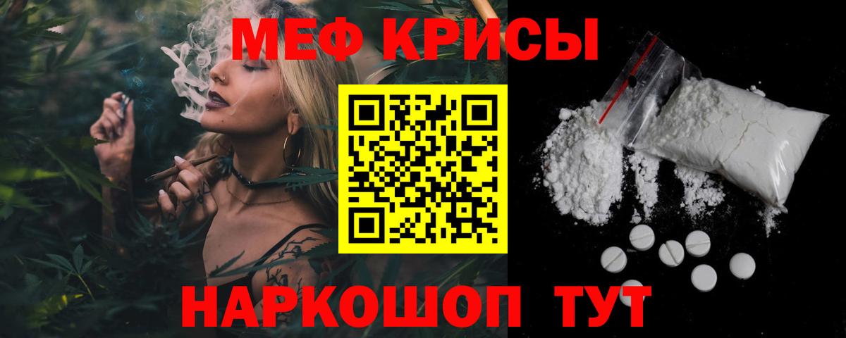 МЕФ  Каменка