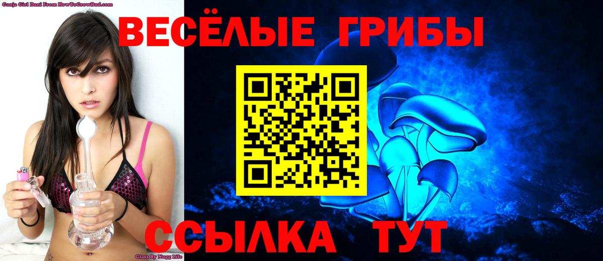 Псилоцибиновые грибы прущие грибы Каменка
