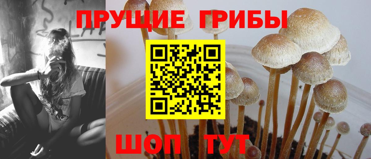 Псилоцибиновые грибы мухоморы  Вход с VPN  Каменка 